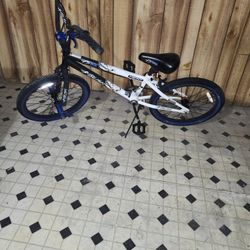 Kids Bike 20 Inch Wheels