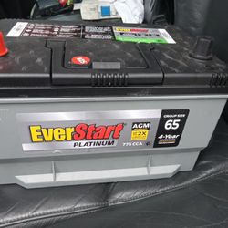 New Everstart AGM  Battery 