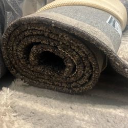 Westin collection Area Rug