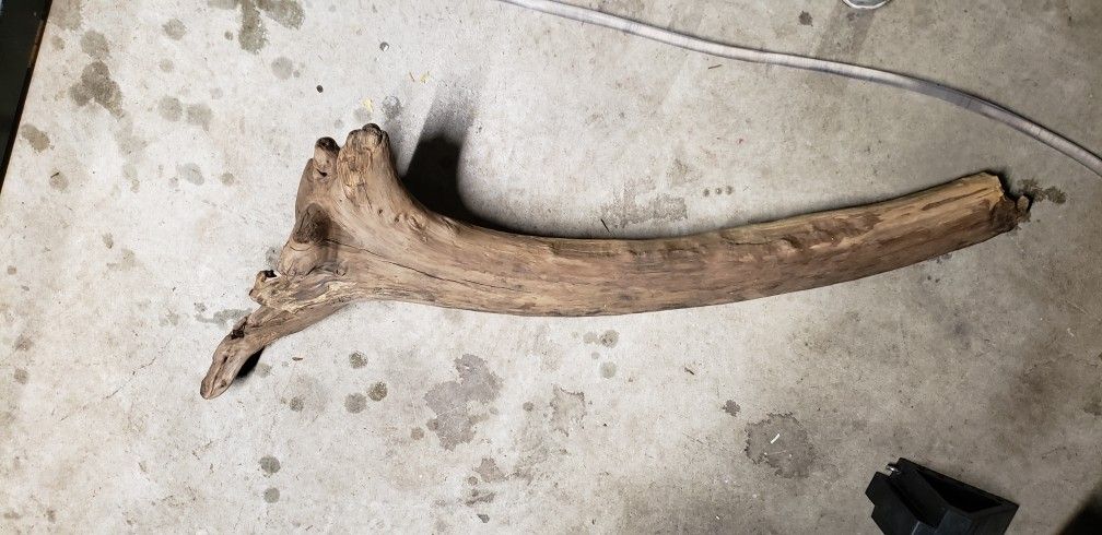 Aquarium Drift Wood And Marble Slabs