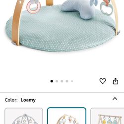 Activity Gym & Mat 