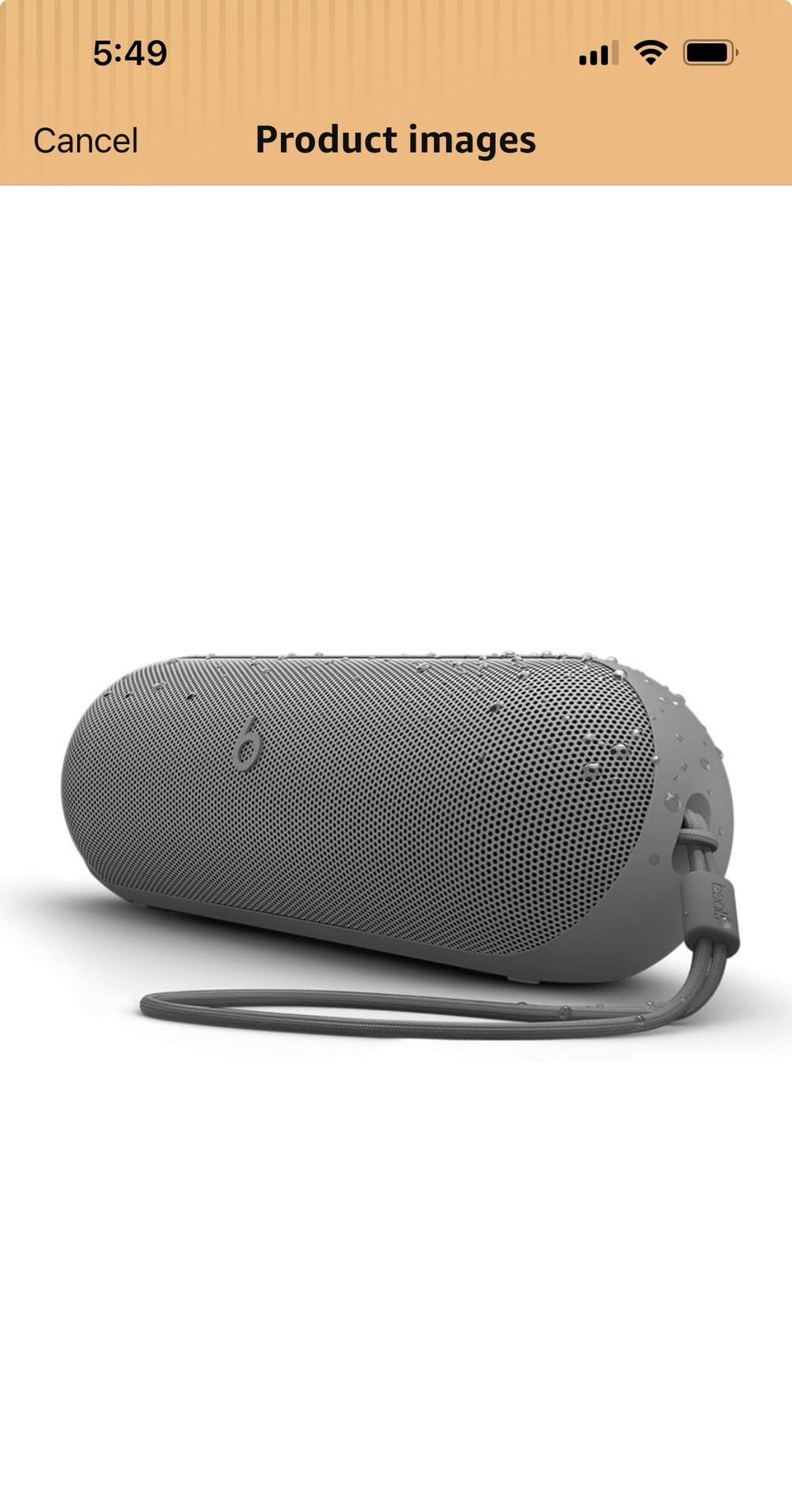 Portable Speaker Bose 