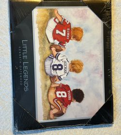 Vintage NFL “ little Legends “ Plaque ,Elway-Young-Aikman