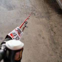 Fishing Pool Abu garcia 