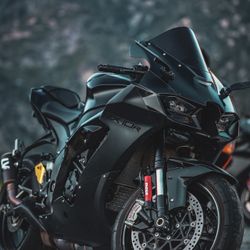 2025 Zx10r