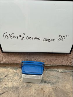 Cooler hielera
