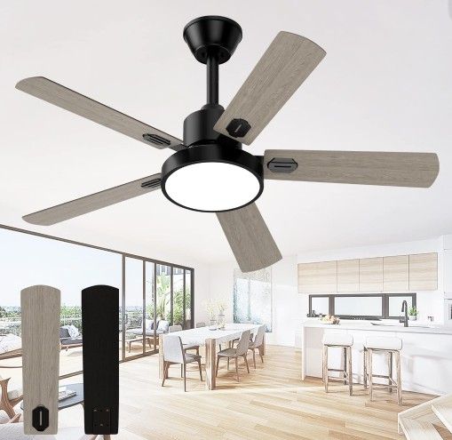 Ceiling Fan