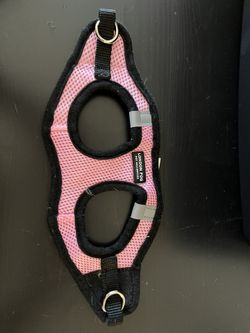 Dog Harness
