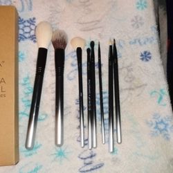 Brand New Sigma Beauty Makeup Brushes!!