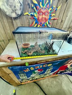 Terrario $40