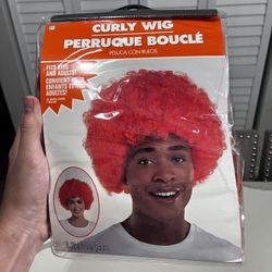 Brand New Silly Orange Wigs 