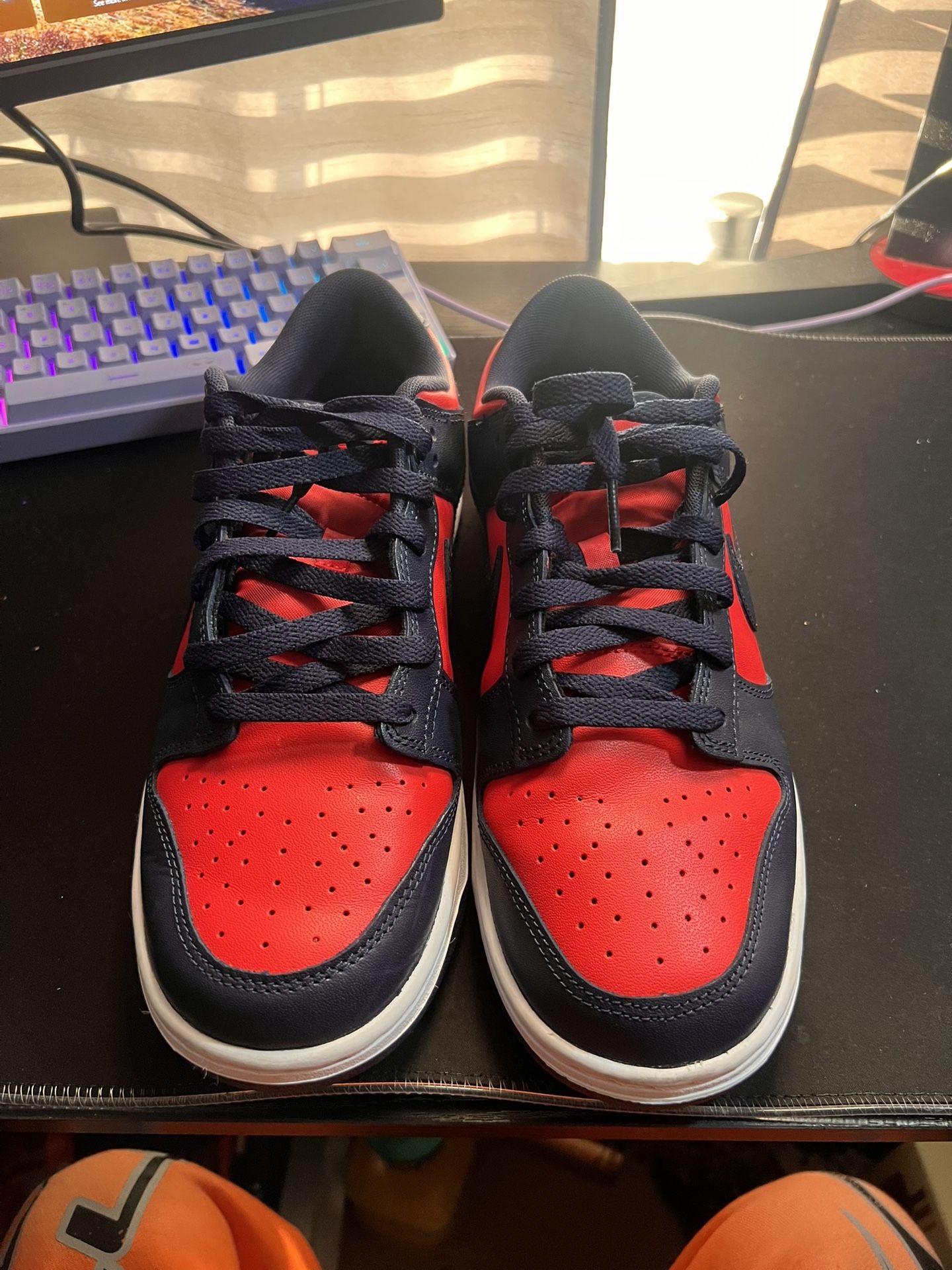 Nike Dunks Size 10