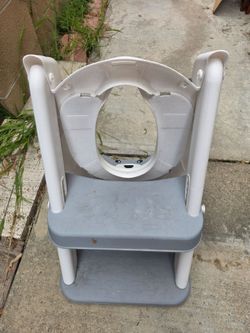 Potty training seat and ladder