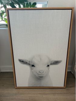 Animal Canvas Frames