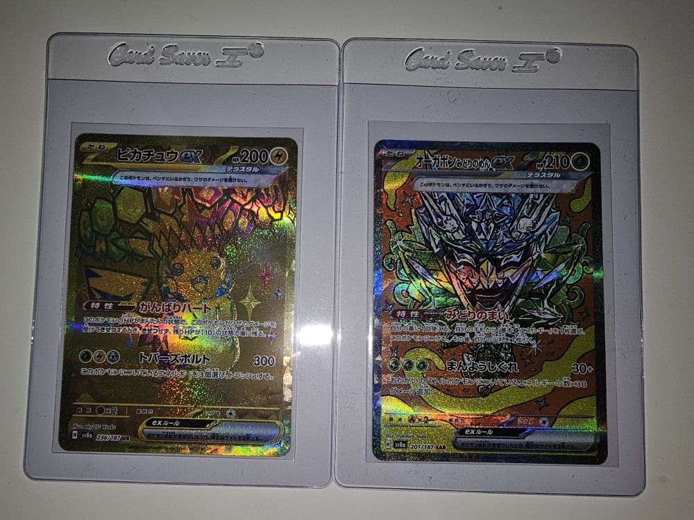 2024 Pokemon Terastal Festival Singles