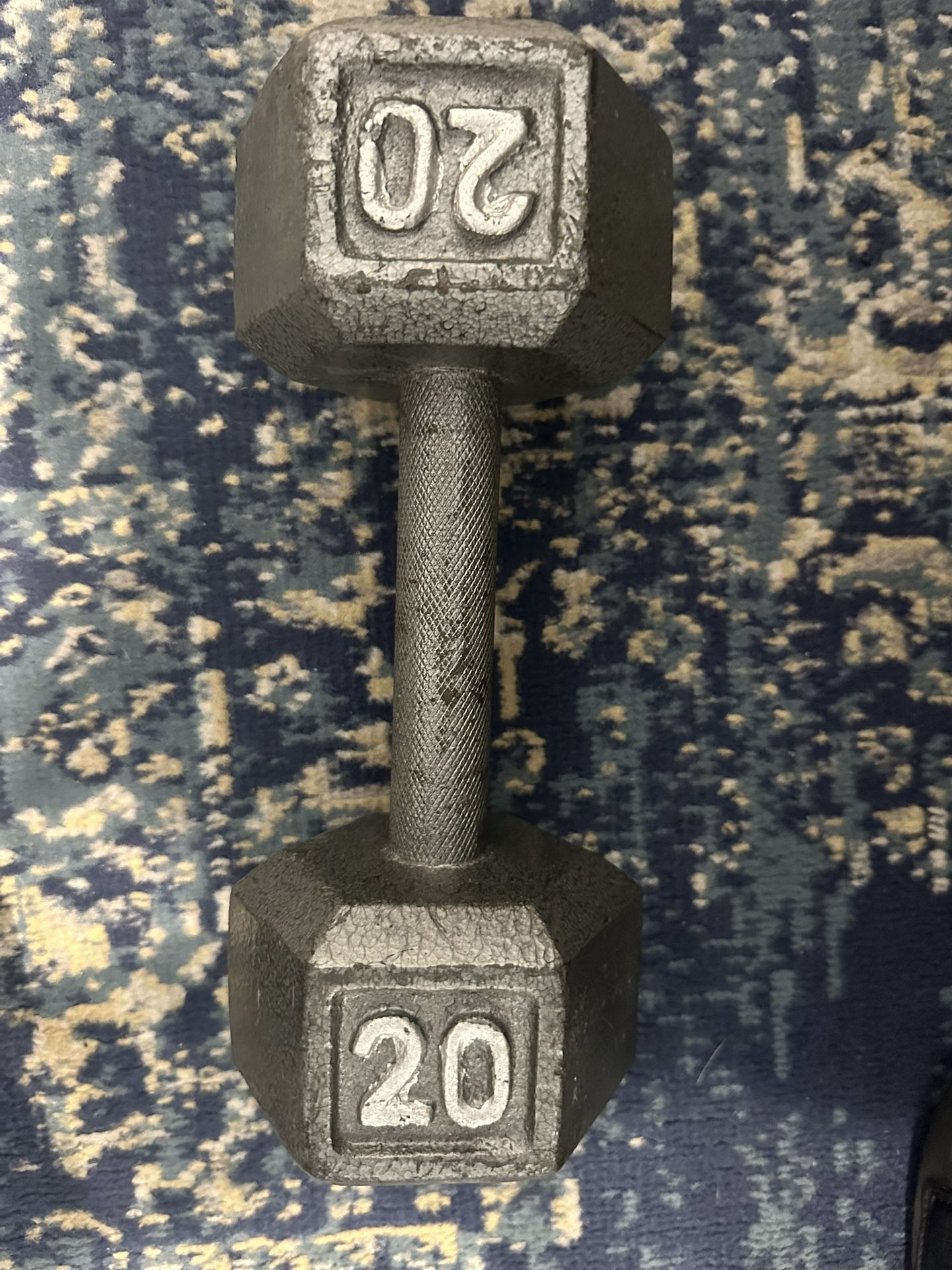 20 LB Dumbbell
