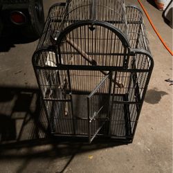 Bird Cage 