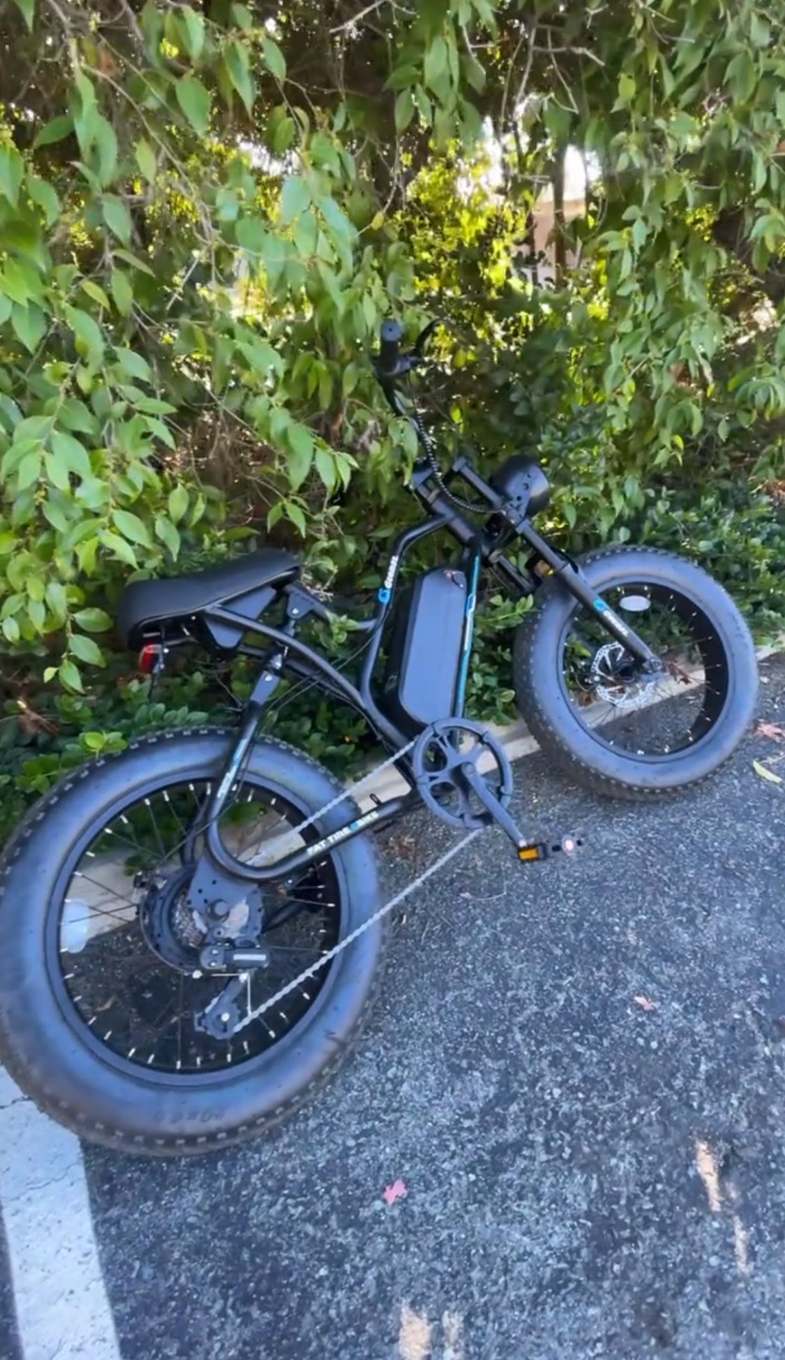 Ebike