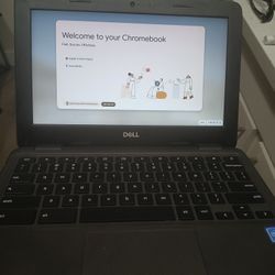 Dell Chromebook 3100 11.6" Celeron N4000 1.1GHz, 4GB RAM, 16GB eMMC, P29T001