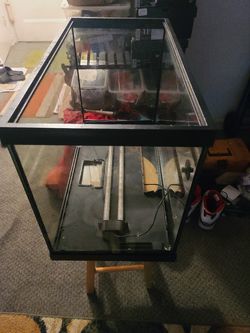 20Gallon Tank /aquarium