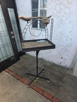 Standing bird enclosure
