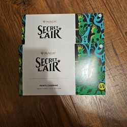 Magic The Gathering Secret Lair Prints Charming Foil