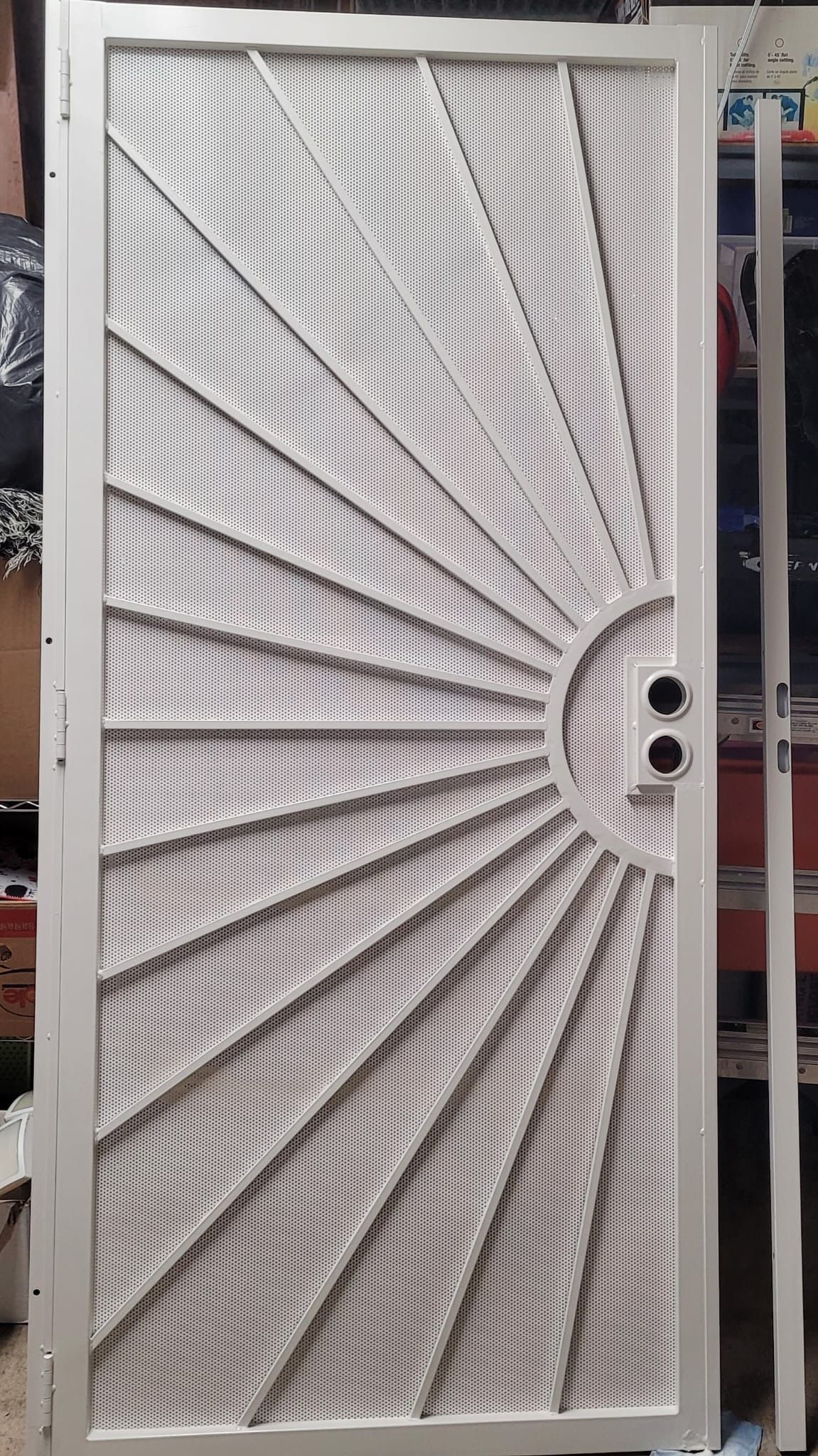 Security Door