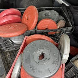 Bunch Of Plastic Weights