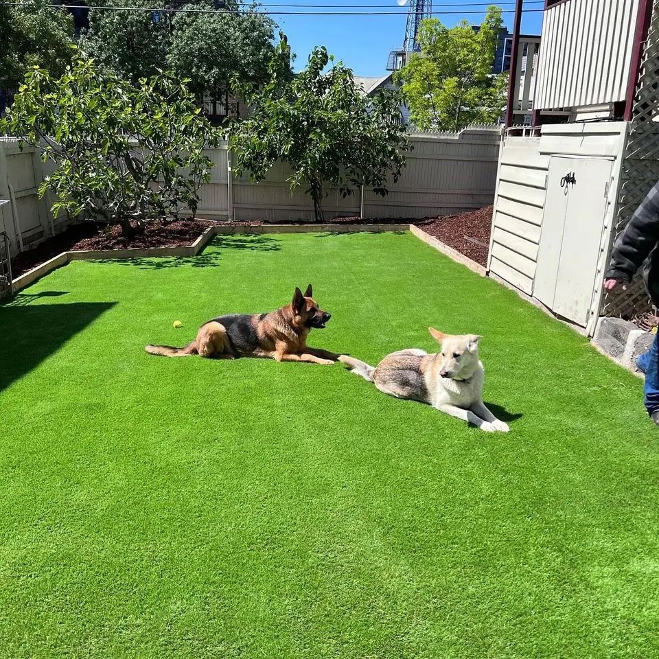 Artificial Grass Pet Turf