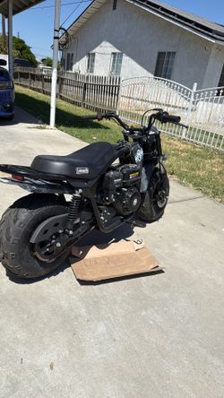 Coleman B200 cc