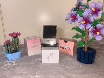 Prada, Carolina Herrera , Versace