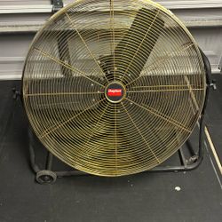 Large fan