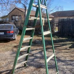8ft Louisville Ladder 