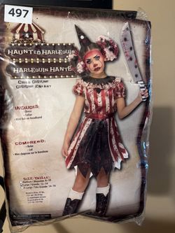 Haunted Harlequin Clown Costume