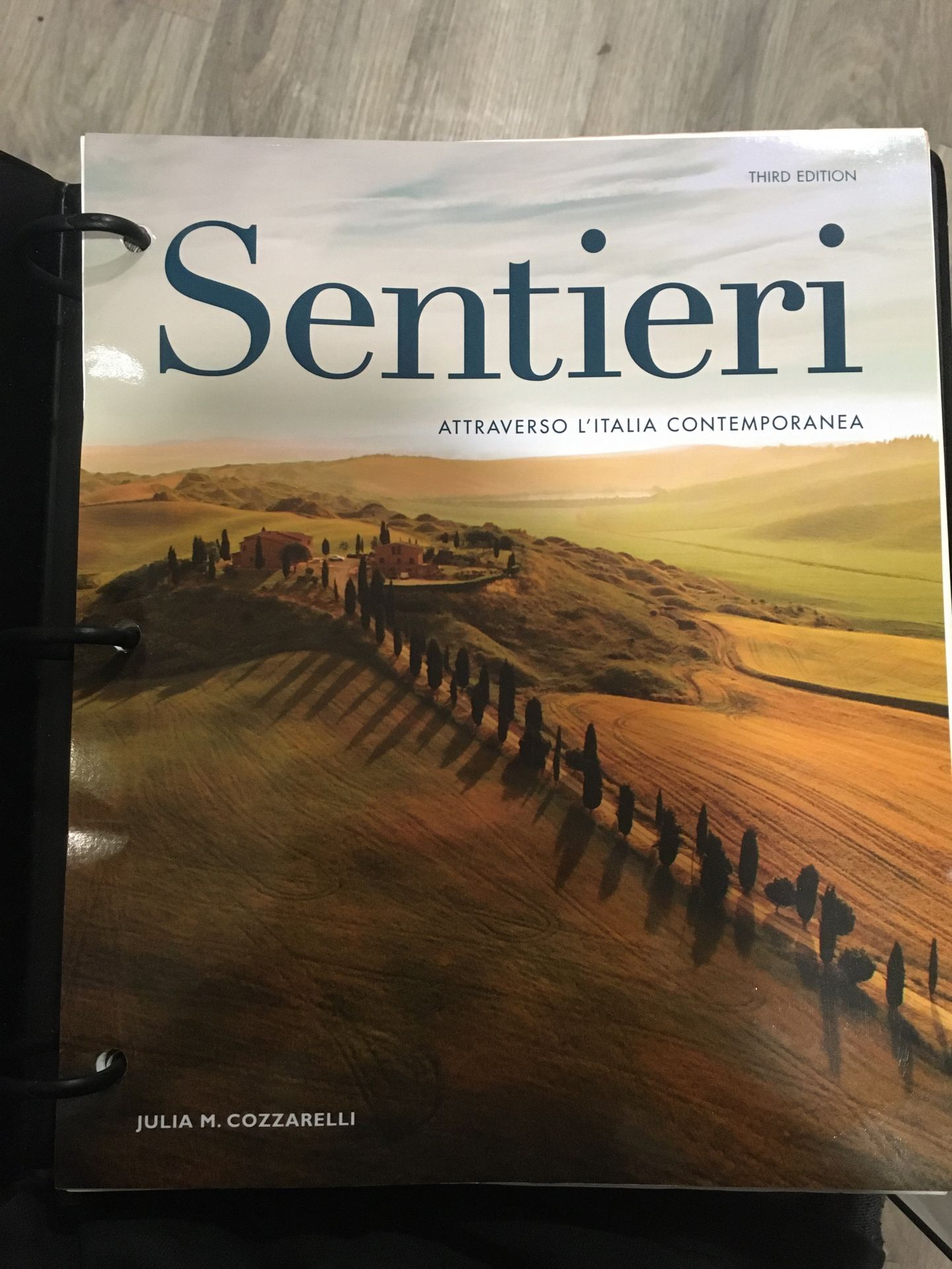 Sentieri 3rd Edition Italian Textbook: Julia M. Cozzaerlli
