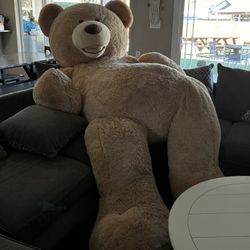 Extra large bear for Valentine's Day