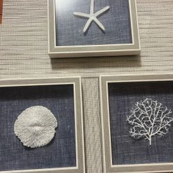 3 Pieces of wall art featuring authentic  sea coral