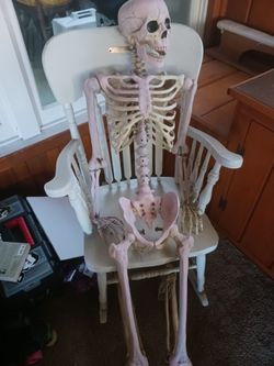 Halloween life size skeleton 💀