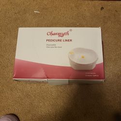 100 Desposable Liners