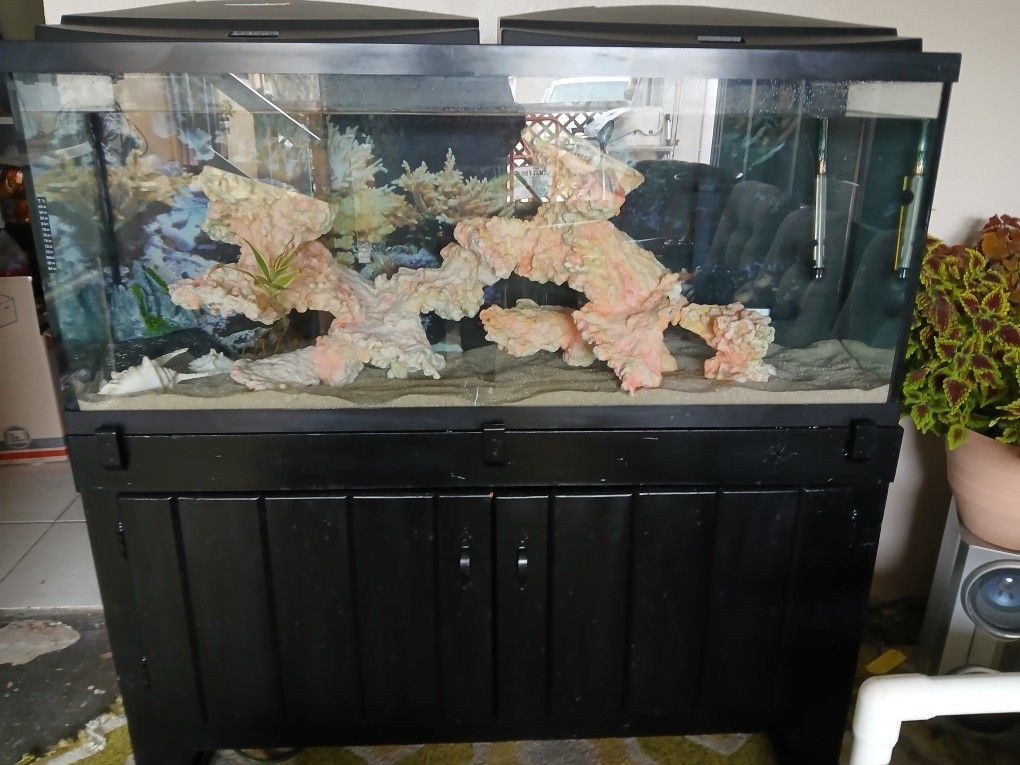 Aquariums And Supplies
