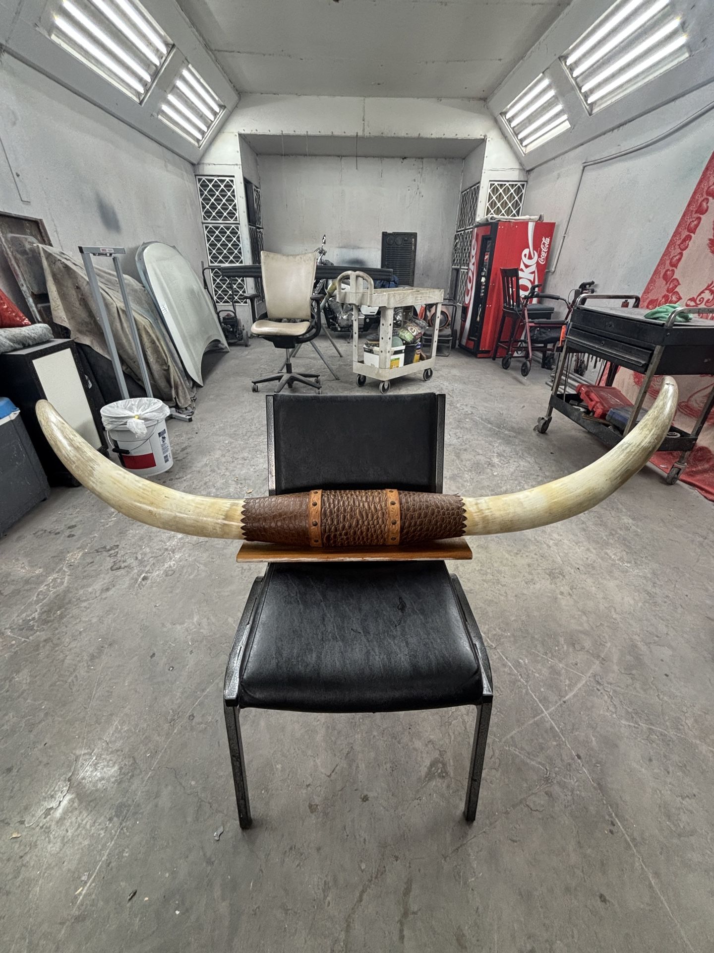 6ft Genuine Polished Texas Longhorn Mount 72” Tip to Tip Tooled Leather