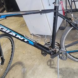 Giant Roam 3 XL 