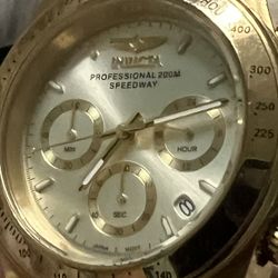 INVICTA  13879 Professional 200 M Speedway watch