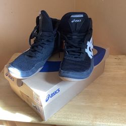 Asics Wrestling Shoes-