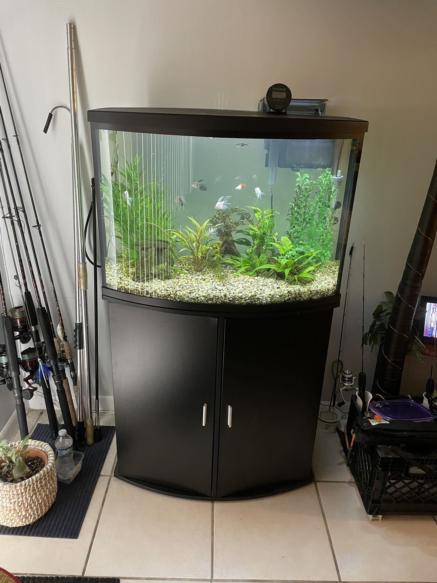 36 Gallon Fish Tank