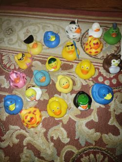 Lot of ducks. Atleast 20