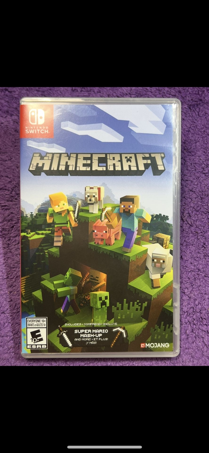 Nintendo Switch Minecraft