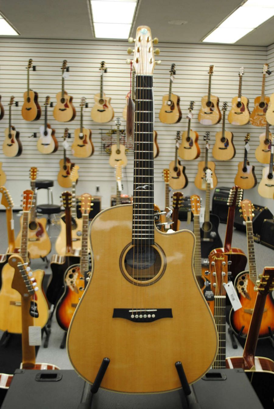Seagull Artist Series Cameo CW Spruce Top Solid Maple