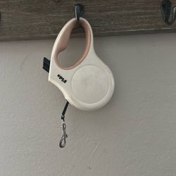 Small Dog Leash 