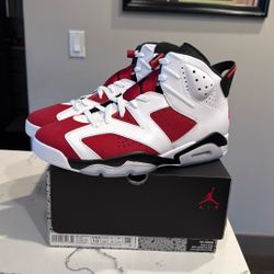 Jordan 6 Carmine DS Sz 10.5